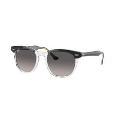 Ray-Ban RB 2298 1294M3 Güneş Gözlüğü