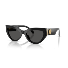 Dolce & Gabbana DG 4536 501/87 Güneş Gözlüğü