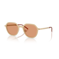 Emporio Armani EA 2176 3002/7 Güneş Gözlüğü