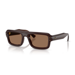 Ray-Ban RB 4954 689673 Güneş Gözlüğü, Cinsiyet: Unisex, Ekartman: 52