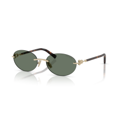 Tiffany TF 3104D 623882 Güneş Gözlüğü