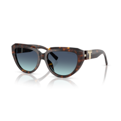 Tiffany TF 4238U 84649S Güneş Gözlüğü