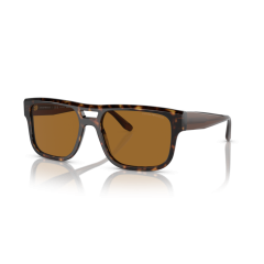 Emporio Armani EA 4197 587983 Güneş Gözlüğü