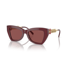 Michael Kors MK 2205 394975 Güneş Gözlüğü