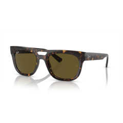 Ray-Ban RB 4426 135973 Güneş Gözlüğü