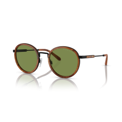 Ralph Lauren RL 7081 93044E Güneş Gözlüğü