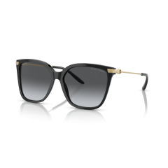 Ralph Lauren RL 8209 5001T3 Güneş Gözlüğü