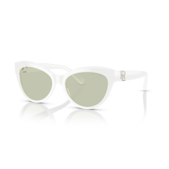 Ralph Lauren RL 8213 5229/2 Güneş Gözlüğü
