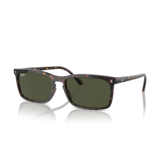 Ray-Ban RB 4435 902/31 Güneş Gözlüğü