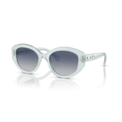 Swarovski SK 6005 10244L Güneş Gözlüğü