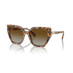 Swarovski SK 6016 1004T5 Güneş Gözlüğü