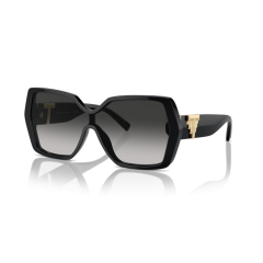 Tiffany TF 4219 80013C Güneş Gözlüğü