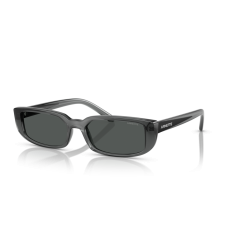 Arnette AN 4348 296787 Güneş Gözlüğü