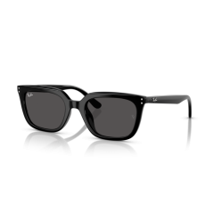 Ray-Ban RB 4439D 901/87 Güneş Gözlüğü