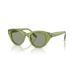 Swarovski SK 6025 3002/2 Güneş Gözlüğü