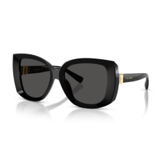 Dolce & Gabbana DG 4495 501/87 Güneş Gözlüğü