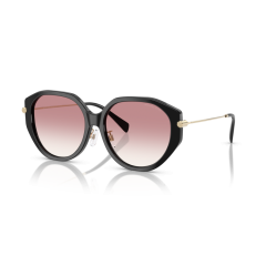 Michael Kors MK 2248D 30058D Güneş Gözlüğü