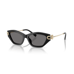 Tiffany TF 4231U 800181 Güneş Gözlüğü