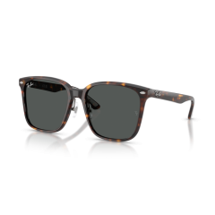 Ray-Ban RB 2206D 710/87 Güneş Gözlüğü