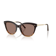 Oliver Peoples OV 5597SU 139253 Güneş Gözlüğü
