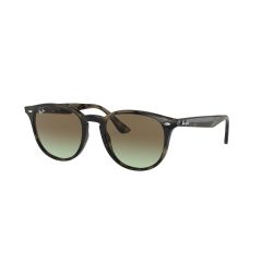 Ray-Ban RB 4259 731/E8 Güneş Gözlüğü