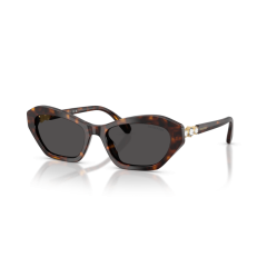 Swarovski SK 6048 100287 Güneş Gözlüğü