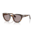 Persol PO 3379S 105253 Güneş Gözlüğü, Cinsiyet: Unisex, Ekartman: 54