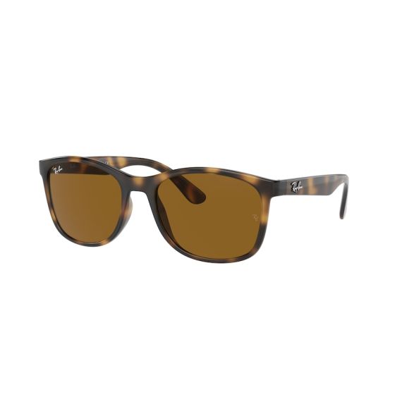 Ray-Ban RB 4374 710/33 Güneş Gözlüğü