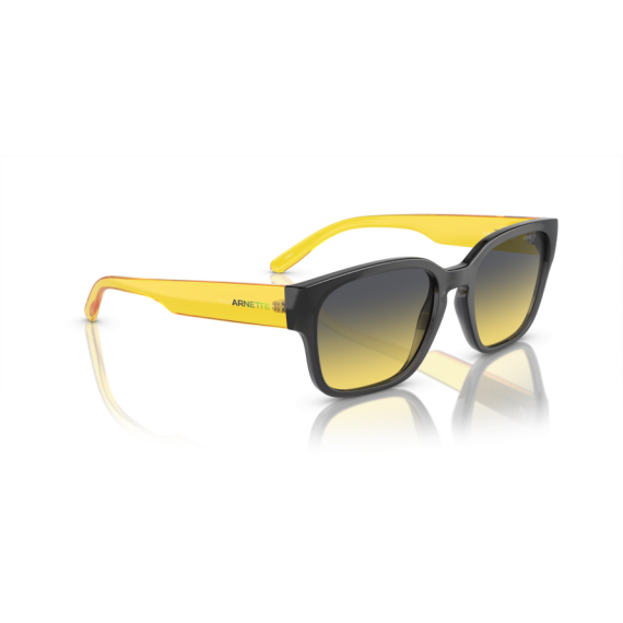 Arnette AN 4325 27862Q Güneş Gözlüğü, Resim 7