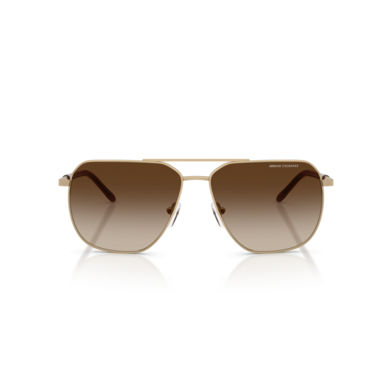 Armani Exchange AX 2057S 612113 Güneş Gözlüğü, Resim 7