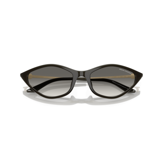 Armani Exchange AX 4152SU 836711 Güneş Gözlüğü, Resim 9