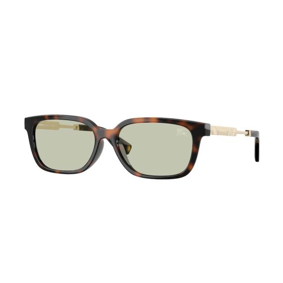 Burberry BE 4481D 3002/2 Güneş Gözlüğü, Resim 11