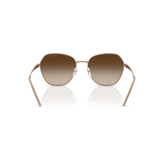 Emporio Armani EA 2161 340013 Güneş Gözlüğü, Resim 5