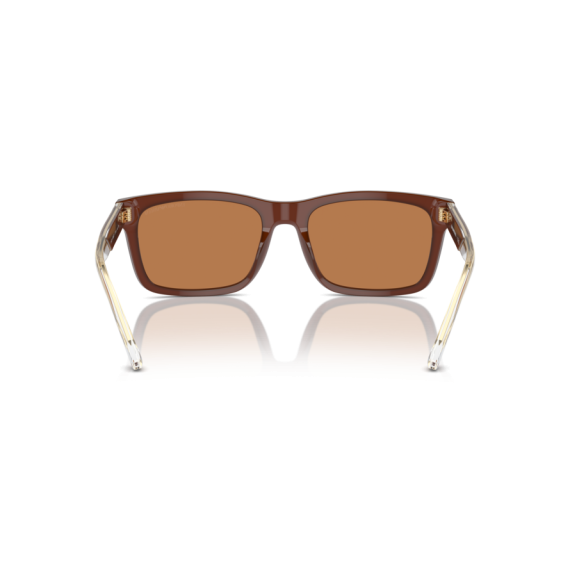 Emporio Armani EA 4224 609573 Güneş Gözlüğü, Resim 5