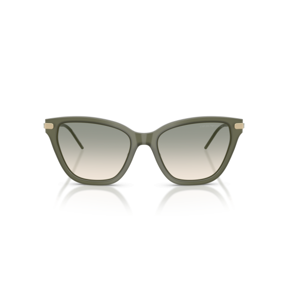 Emporio Armani EA 4251 62642C Güneş Gözlüğü, Resim 7