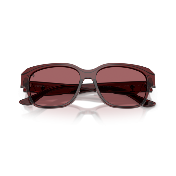 Ferrari FH 2016D 732/AF Güneş Gözlüğü, Resim 11