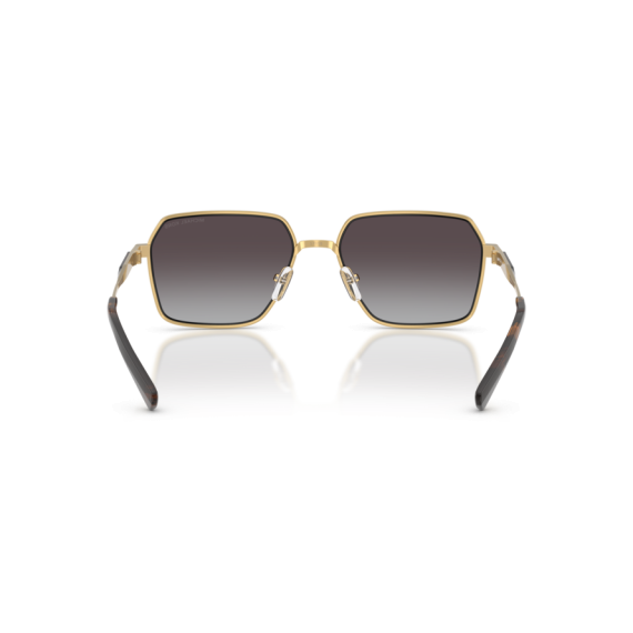 Michael Kors MK 1176 18963C Güneş Gözlüğü, Resim 5