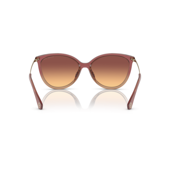 Michael Kors MK 2184U 325678 Güneş Gözlüğü, Cinsiyet: Kadın, Ekartman: 58, Resim 5