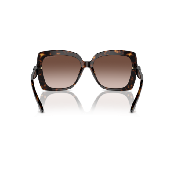 Michael Kors MK 2213 300613 Güneş Gözlüğü, Resim 5