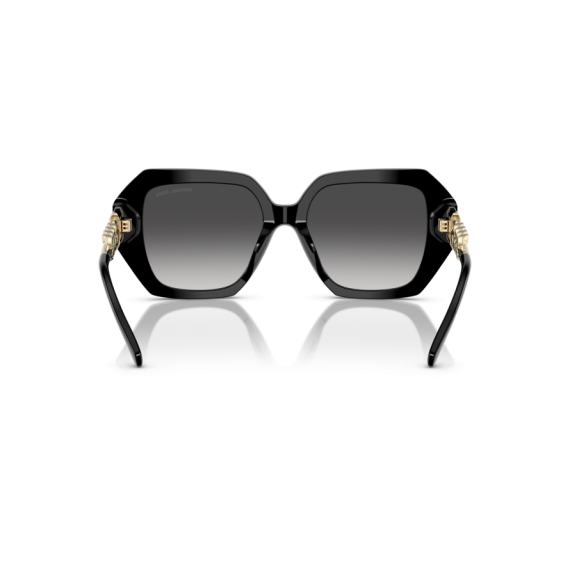 Michael Kors MK 2232U 30058G Güneş Gözlüğü, Resim 5