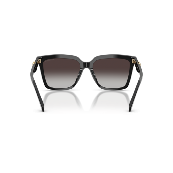 Michael Kors MK 2256U 30058G Güneş Gözlüğü, Cinsiyet: Kadın, Ekartman: 53, Resim 5