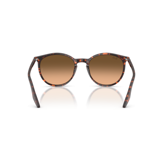 Ray-Ban RB 2204 14293B Güneş Gözlüğü, Cinsiyet: Unisex, Ekartman: 54, Resim 5