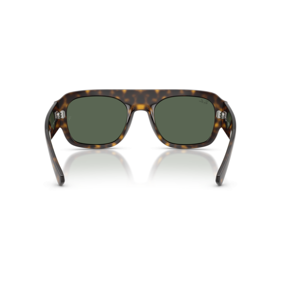 Ray-Ban RB 2218 679071 Güneş Gözlüğü, Resim 5