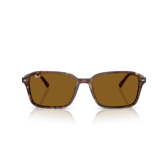 Ray-Ban RB 2231 141833 Güneş Gözlüğü, Cinsiyet: Unisex, Ekartman: 58, Resim 9