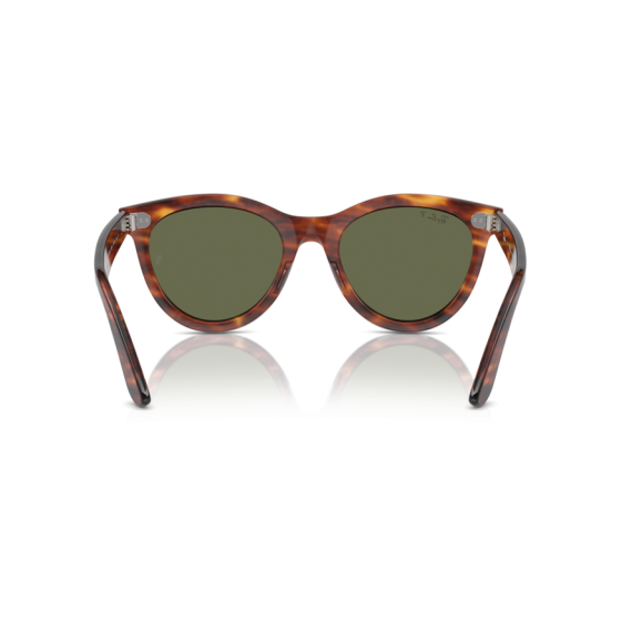 Ray-Ban RB 2241 954/58 Güneş Gözlüğü, Cinsiyet: Unisex, Ekartman: 54, Resim 5