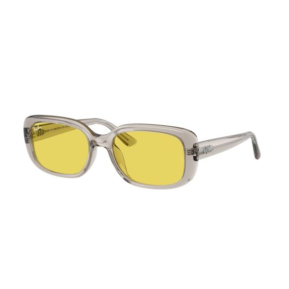 Ray-Ban RB 4421D 681885 Güneş Gözlüğü, Resim 13