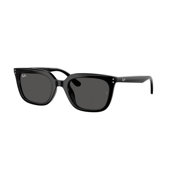Ray-Ban RB 4439D 901/87 Güneş Gözlüğü, Resim 13
