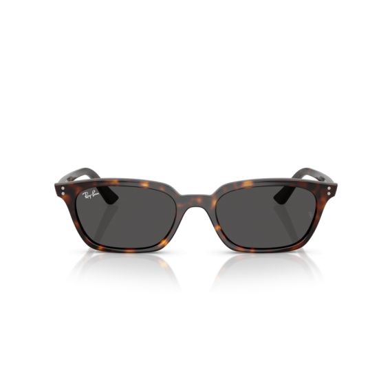 Ray-Ban RB 4456 135987 Güneş Gözlüğü, Cinsiyet: Unisex, Ekartman: 50, Resim 9