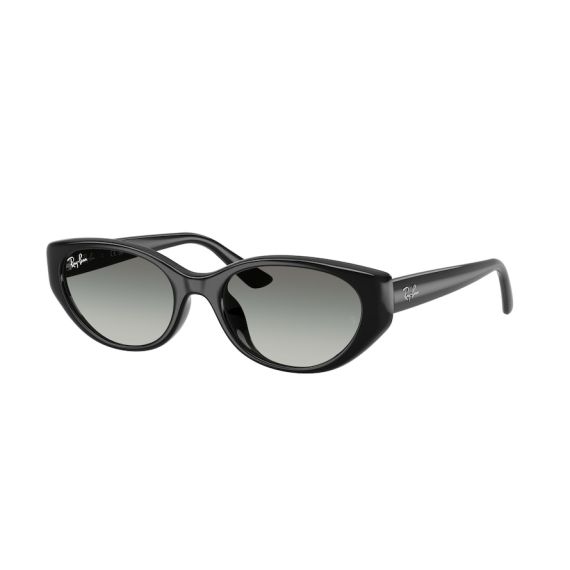 Ray-Ban RB 4457D 667711 Güneş Gözlüğü, Resim 13