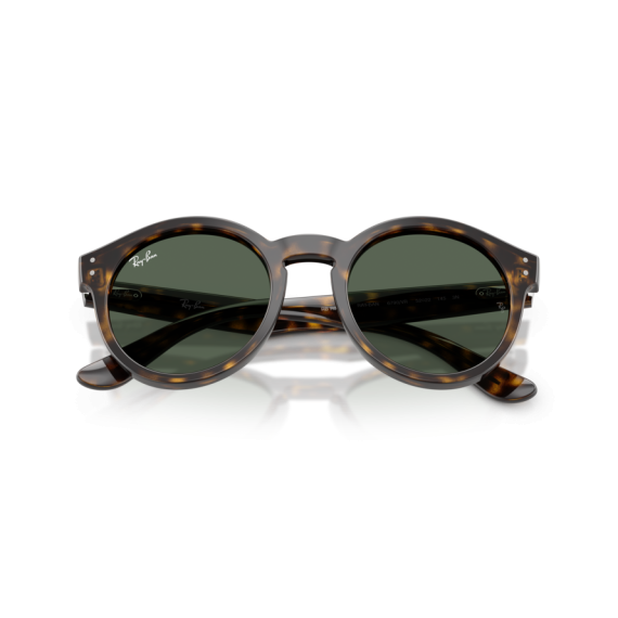 Ray-Ban RB R0505S 6790VR Güneş Gözlüğü, Resim 11
